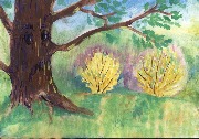 Сказки Куршской косы. Арутян Диана. 12 лет